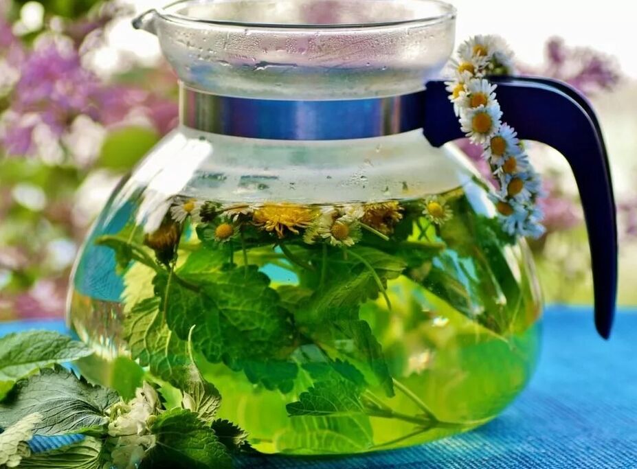 Barizeetatik belarren bilketa infusioa